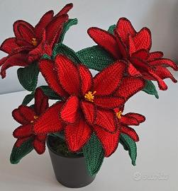 Stella di Natale 🎄 