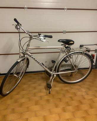 Bicicletta uomo