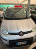 fiat-panda-1-2-easypower-pop