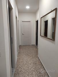 Contratto transitorio per professionisti