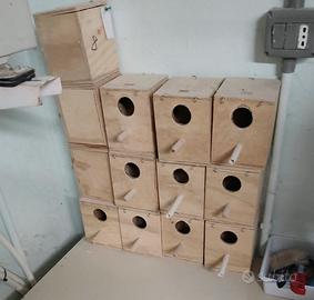 Casette uccelli