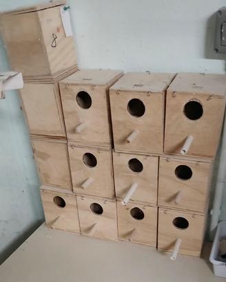Casette uccelli