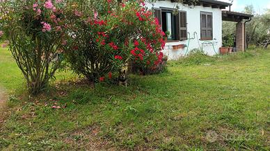 Villetta di Campagna