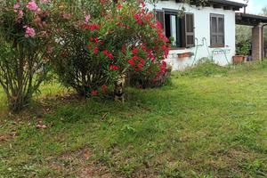 Villetta di Campagna