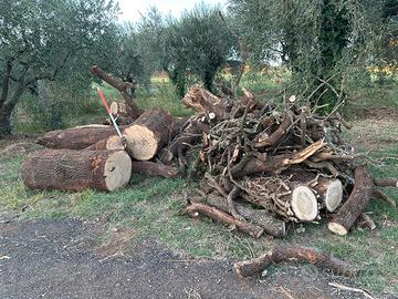 Legna da ardere quercia