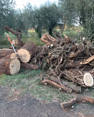 Legna da ardere quercia