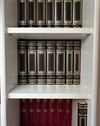 COLLEZIONE TRECCANI 22 VOLUMI + CD – PICCOLA 1995 