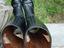 Immagine 4