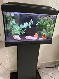 Acquario completo 40 Litri