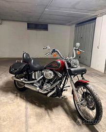 Harley davidson softail custom 2007