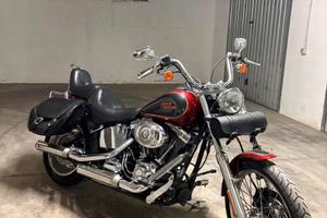 Harley davidson softail custom 2007