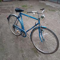 Bicicletta Temporin 28"