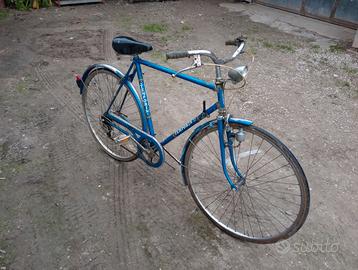 Bicicletta Temporin 28"