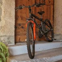 Mountain Bike 24"