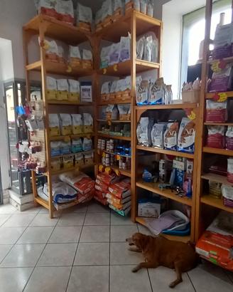 scaffali per negozio