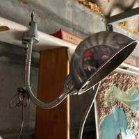 Lampada a morsetto flexo