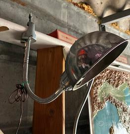 Lampada a morsetto flexo