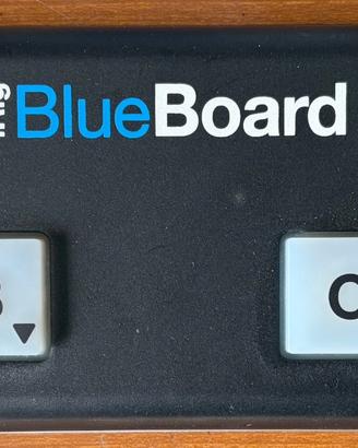 Titolo annuncio: IK Multimedia iRig BlueBoard