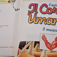 collezione libri esplorando il corpo umano