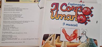 collezione libri esplorando il corpo umano