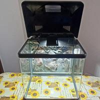 Acquario con accessori 