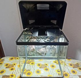 Acquario con accessori 