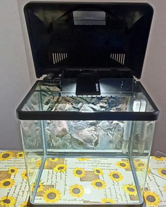 Acquario con accessori 