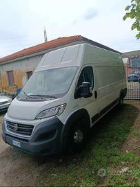 FIAT Ducato tetto alto - 2017