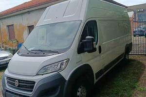 FIAT Ducato tetto alto - 2017