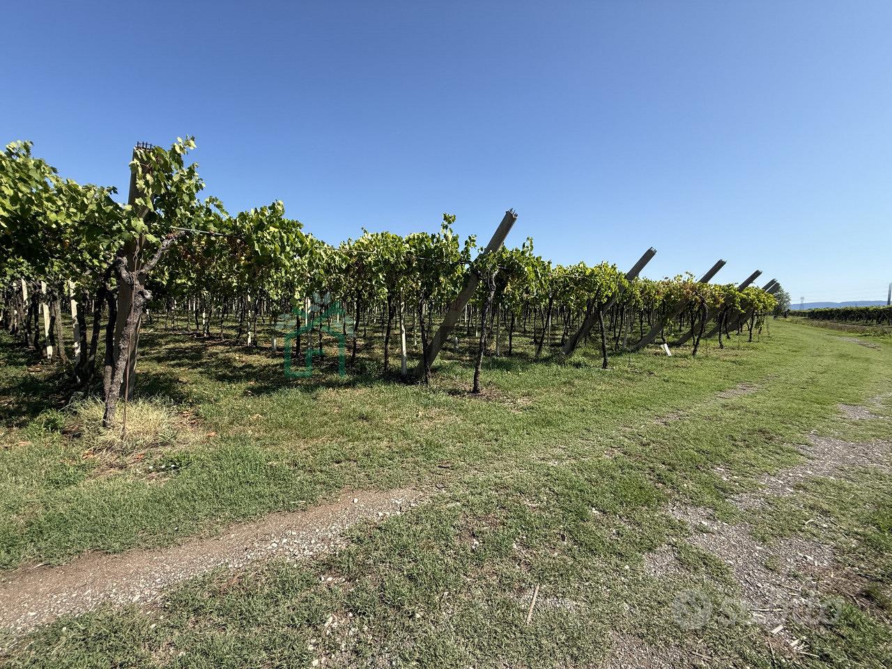 Terreno a San Bonifacio (VR) - Vista 5