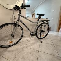 Bicicletta Riverside 120