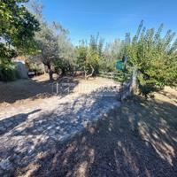 DEPOSITO CON ANNESSO TERRENO A CONDRO'.