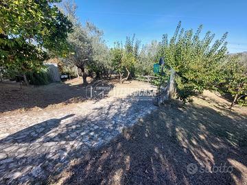 DEPOSITO CON ANNESSO TERRENO A CONDRO'.