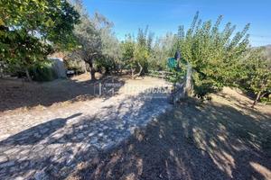 DEPOSITO CON ANNESSO TERRENO A CONDRO'.