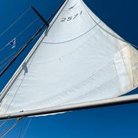 Barca a vela Comet 8.50