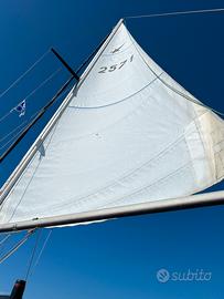 Barca a vela Comet 8.50