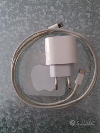 Caricabatterie APPLE CARICA RAPIDA