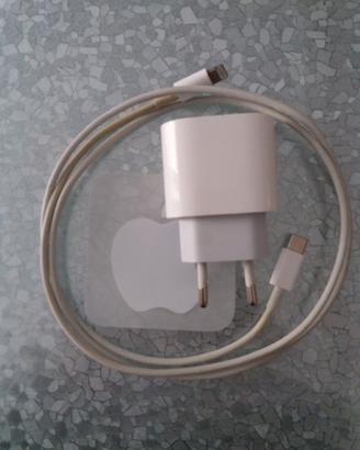 Caricabatterie APPLE CARICA RAPIDA