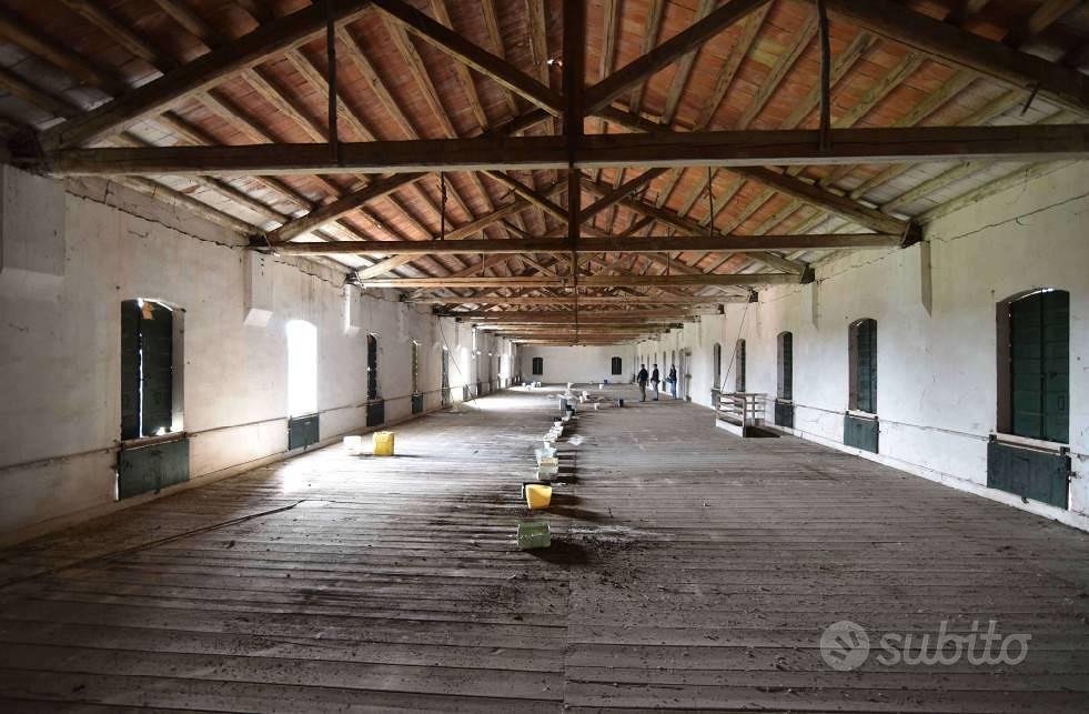 Casa – Ceggia, Gainiga - Vista 4