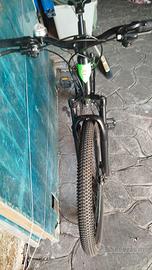 bicicletta