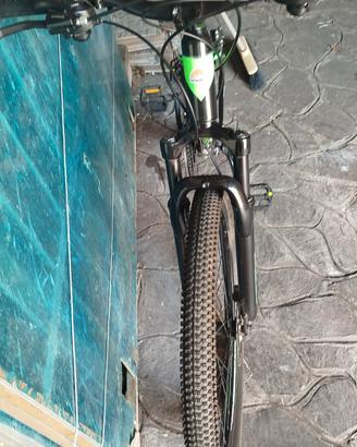bicicletta
