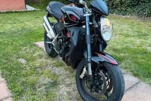 Mv agusta brutale