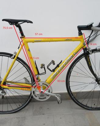 Cannondale R600