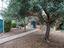 Immagine 30