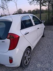 Kia Picanto 1.0 12V EcoGPL 5 porte Glam