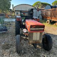 TRATTORE MASSEY FERGUSON 135