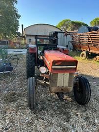 TRATTORE MASSEY FERGUSON 135