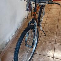 Mountain-bike