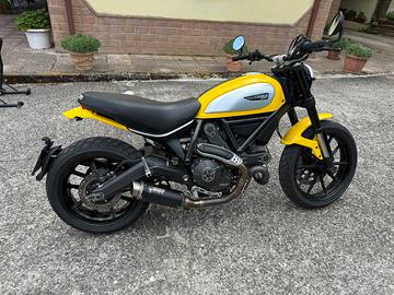 Ducati scrambler 800