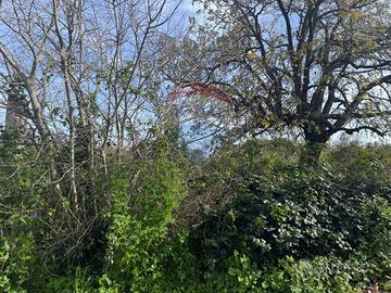 Terreno - San Giovanni la Punta